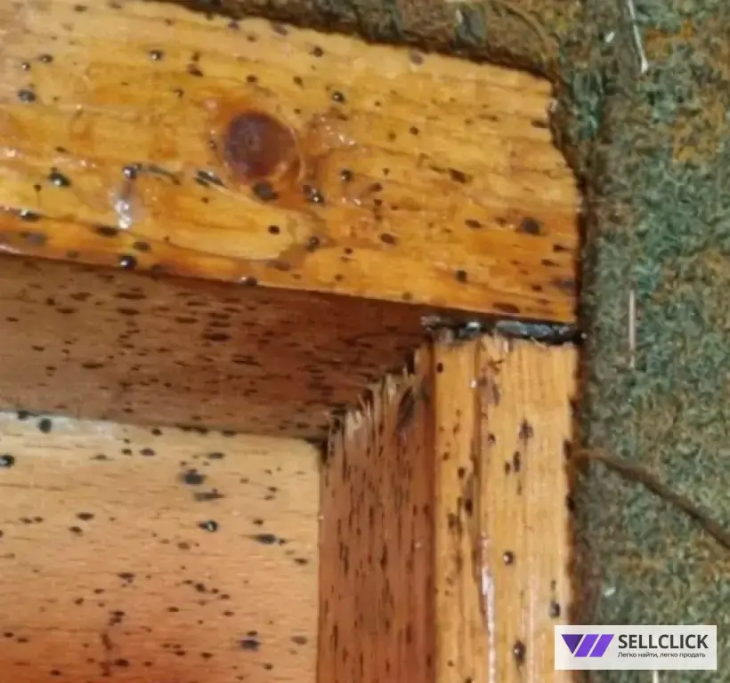 Дезинфекция. Уничтожение клопов и тараканов