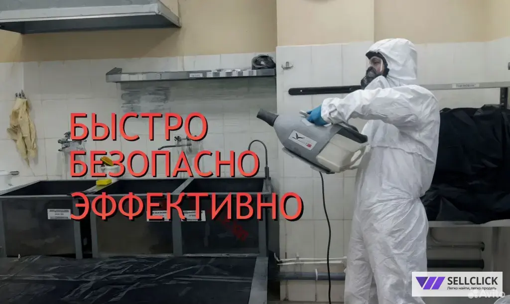 Дезинфекция. Уничтожение клопов и тараканов