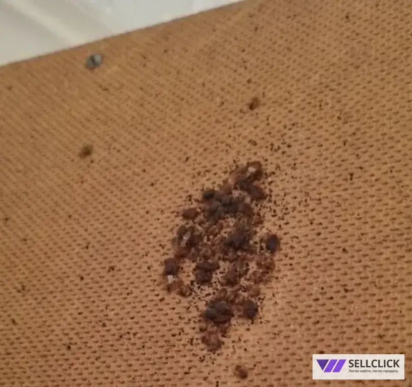 Дезинфекция. Уничтожение клопов и тараканов