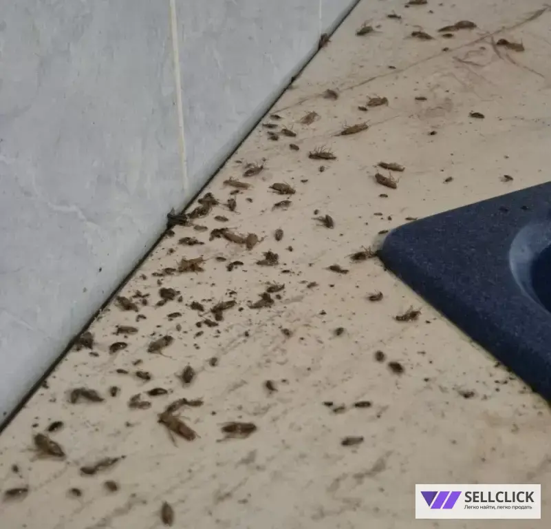 Дезинфекция. Уничтожение клопов и тараканов