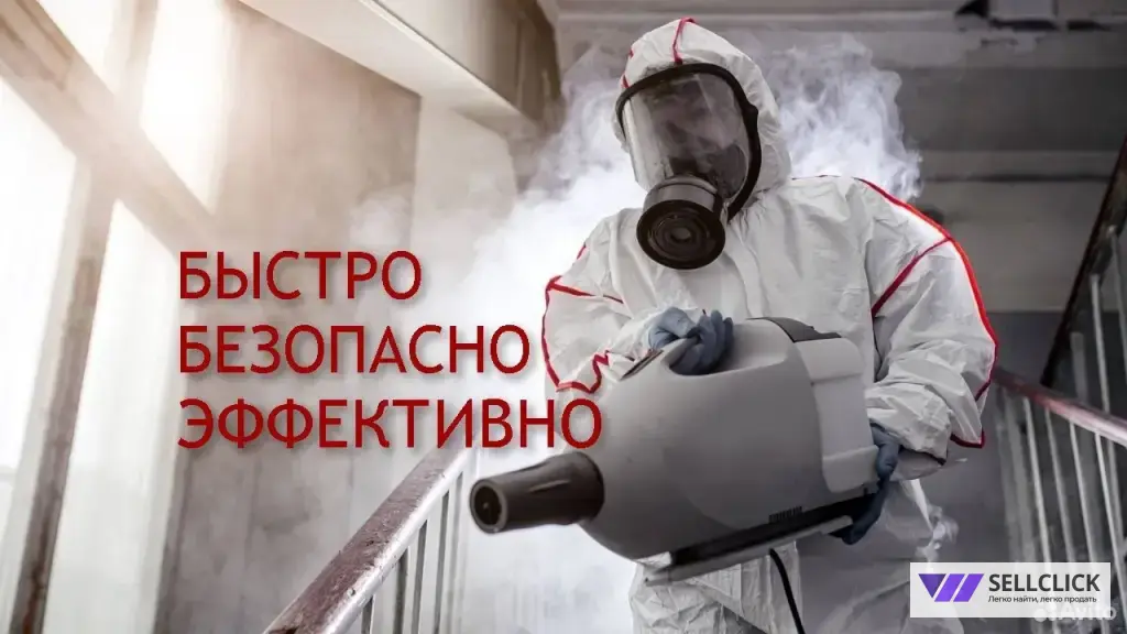 Дезинфекция. Уничтожение клопов и тараканов