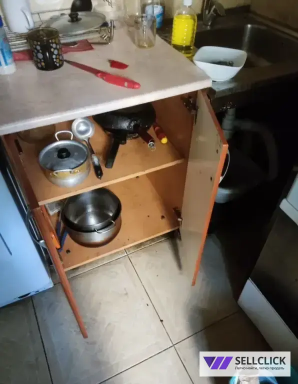 Дезинфекция. Уничтожение клопов и тараканов