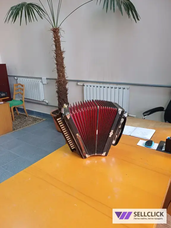 Адыгейская гормошка