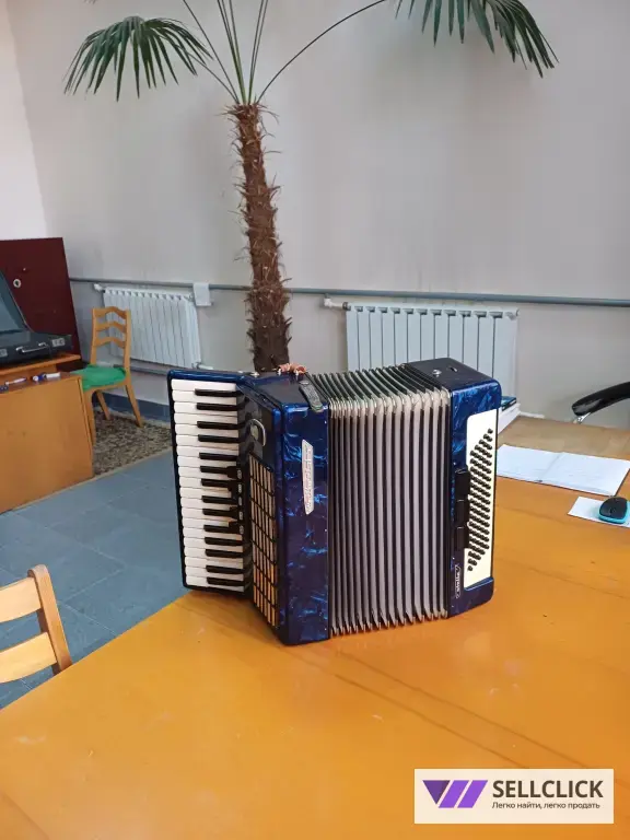 АККОРДИОН с футляром !!!