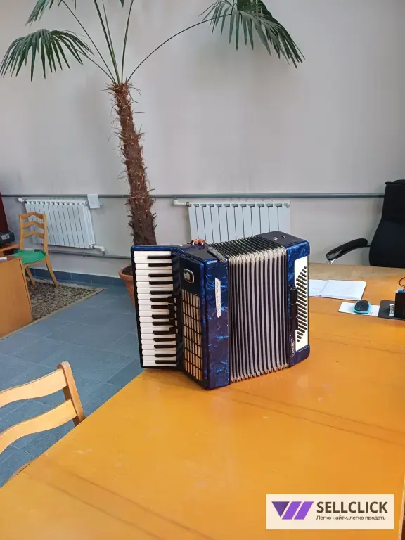 АККОРДИОН с футляром !!!