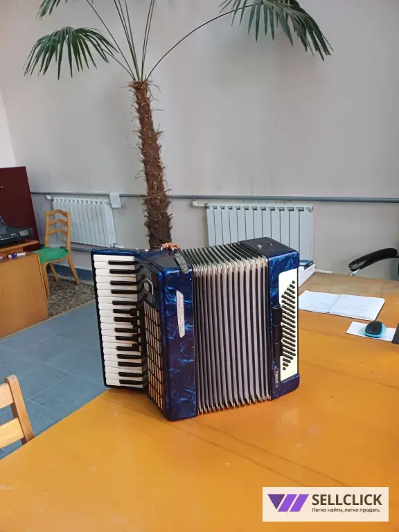 АККОРДИОН с футляром !!!