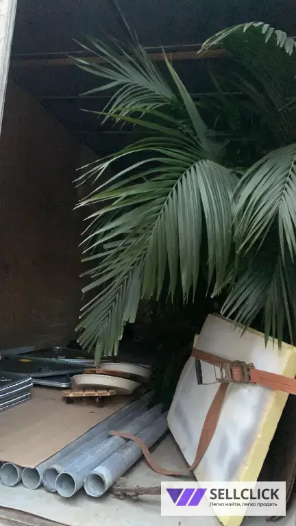 грузоперевозки газель грузчики