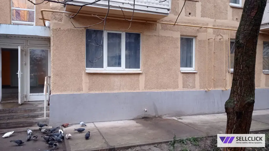 Квартира 1 комната, 31 м², 1/9 эт., Агент