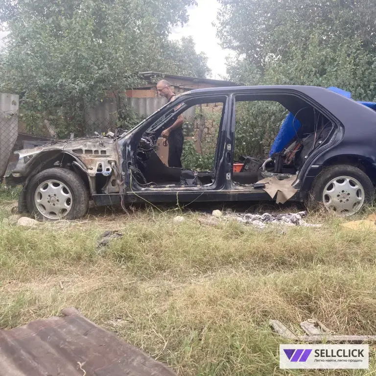 Кабан 140
