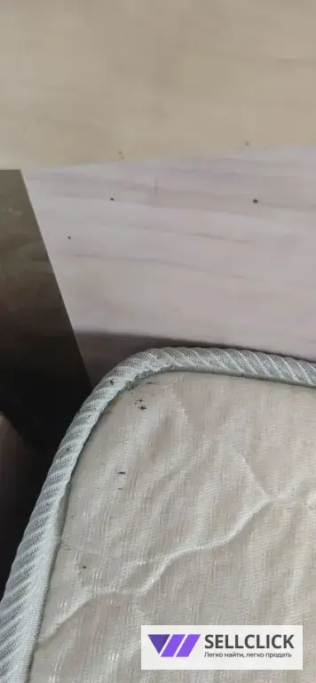 Дезинфекция. Тараканы, клопы,клещи, грызуны