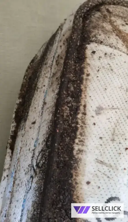 Дезинфекция. Тараканы, клопы,клещи, грызуны