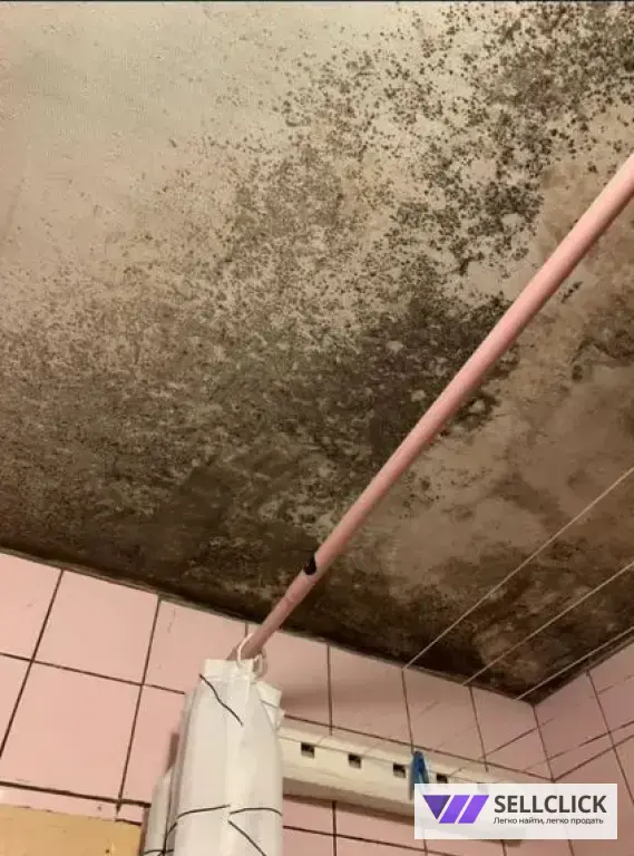 Дезинфекция. Тараканы, клопы,клещи, грызуны