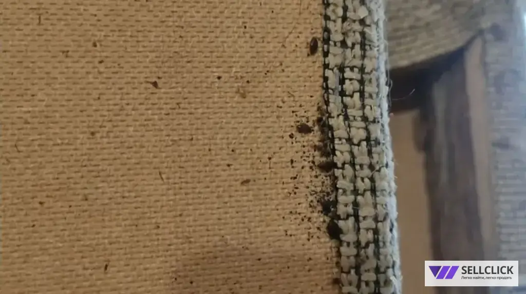 Дезинфекция. Тараканы, клопы,клещи, грызуны