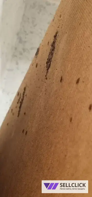 Дезинфекция. Тараканы, клопы,клещи, грызуны