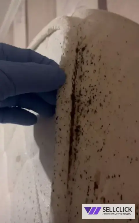 Дезинфекция. Тараканы, клопы,клещи, грызуны