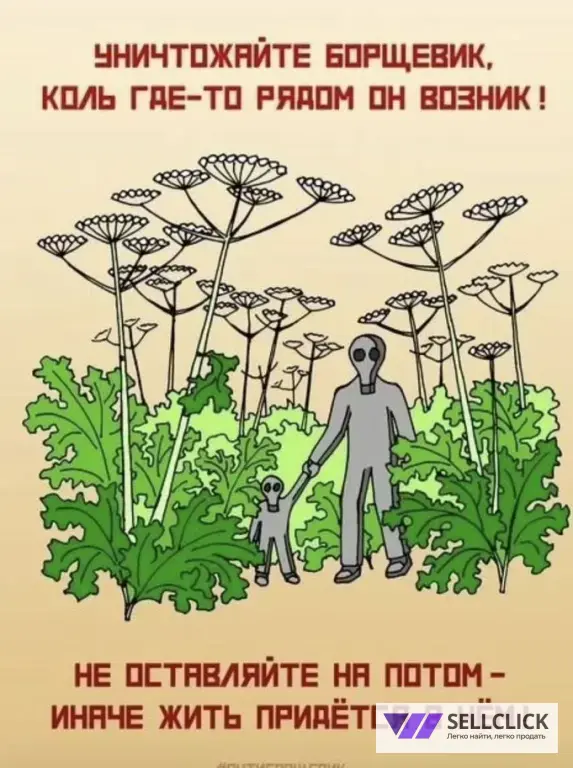 Дезинфекция. Тараканы, клопы,клещи, грызуны