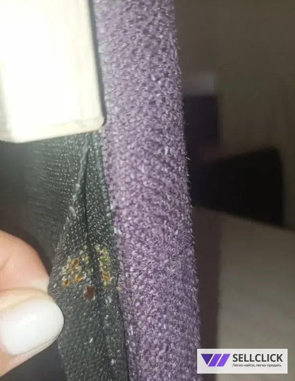 Дезинфекция. Тараканы, клопы,клещи, грызуны