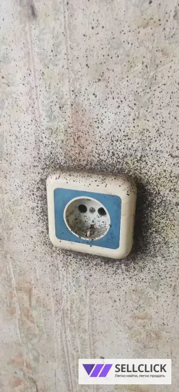 Обработка от тараканов, клопов, грызунов