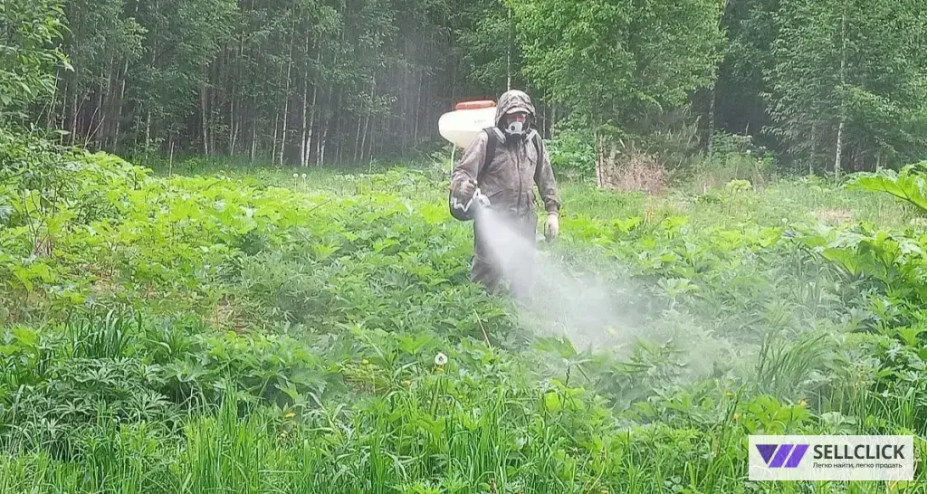 Дезинфекция. Тараканы, клопы,клещи, грызуны