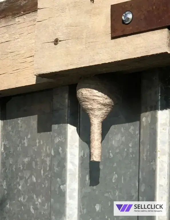 Дезинфекция. Тараканы, клопы,клещи, грызуны