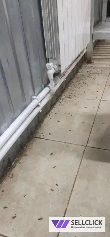 Дезинфекция. Тараканы, клопы,клещи, грызуны