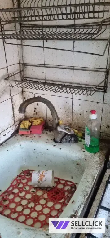 Обработка от тараканов, клопов, грызунов