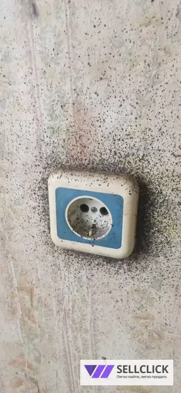 Дезинфекция. Тараканы, клопы,клещи, грызуны