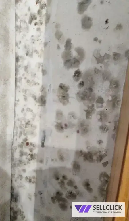 Дезинфекция. Тараканы, клопы,клещи, грызуны