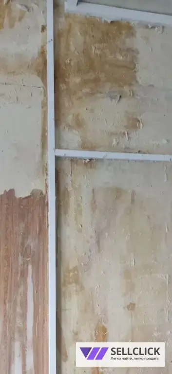 Обработка от тараканов, клопов, грызунов