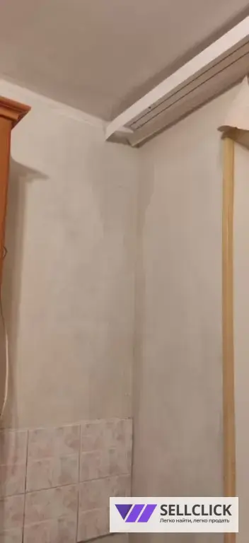 Дезинфекция. Тараканы, клопы,клещи, грызуны