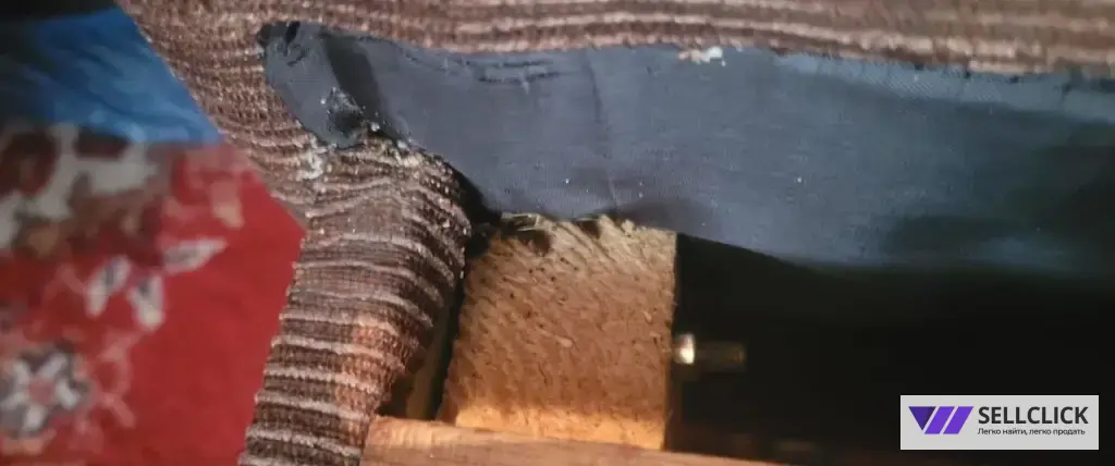 Дезинфекция. Тараканы, клопы,клещи, грызуны