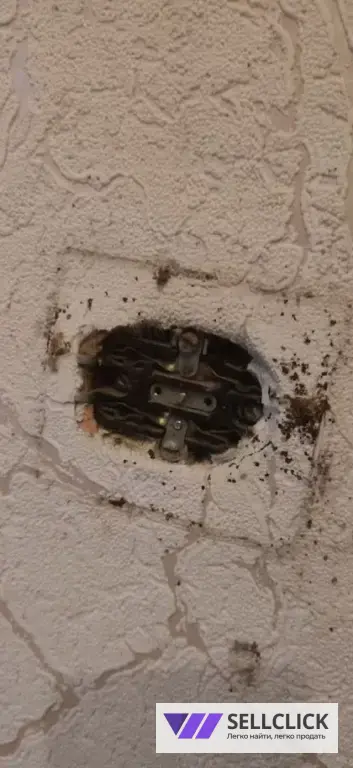 Обработка от тараканов, клопов, грызунов