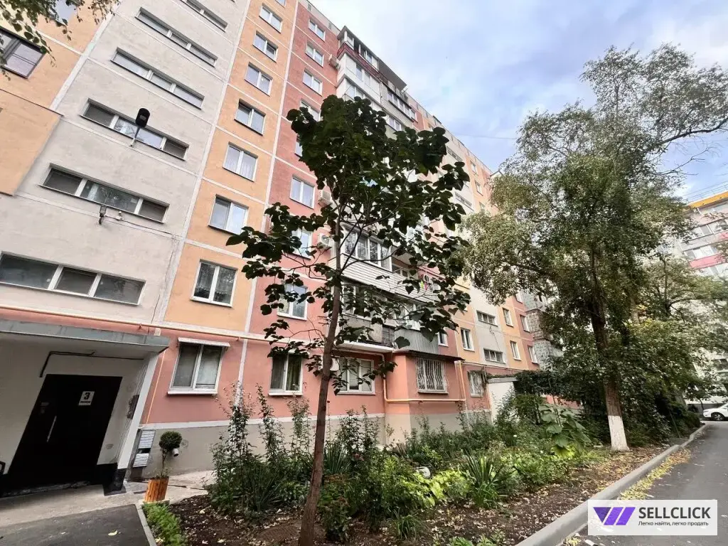 Квартира 2 комнаты, 43 м², 9/9 эт., Агент