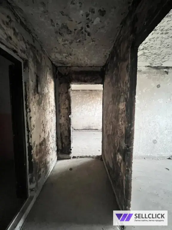 Квартира 3 комнаты, 52 м², 4/9 эт., Агент