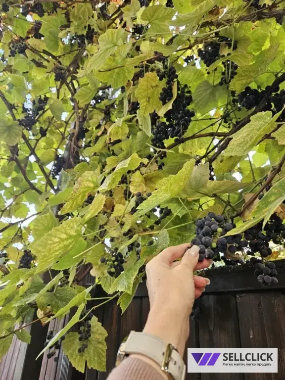 сдаётся уютный домик с мангальная зоной