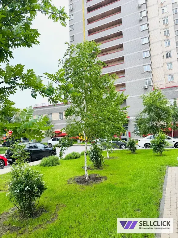Квартира 2 комнаты, 57 м², 16/18 эт., Агент