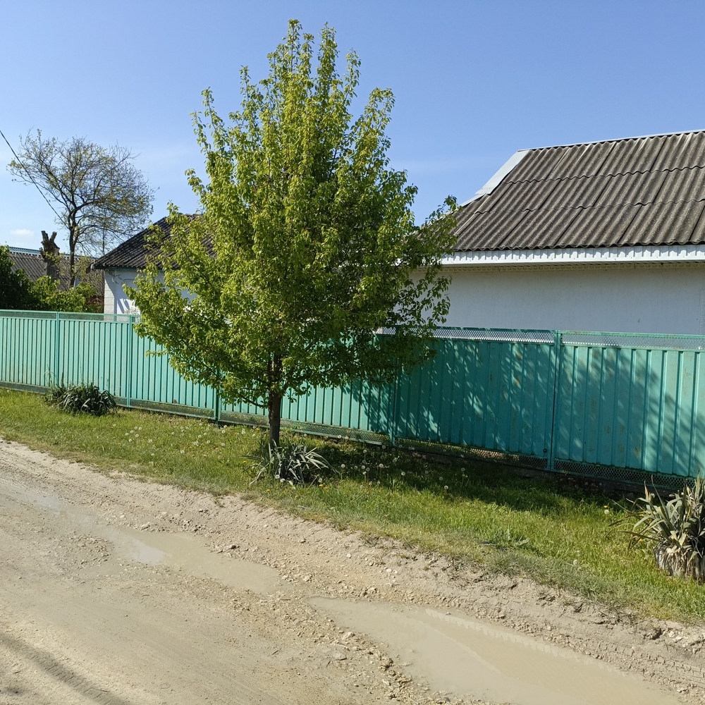 Дом 63 кв.м на участке 17 сот