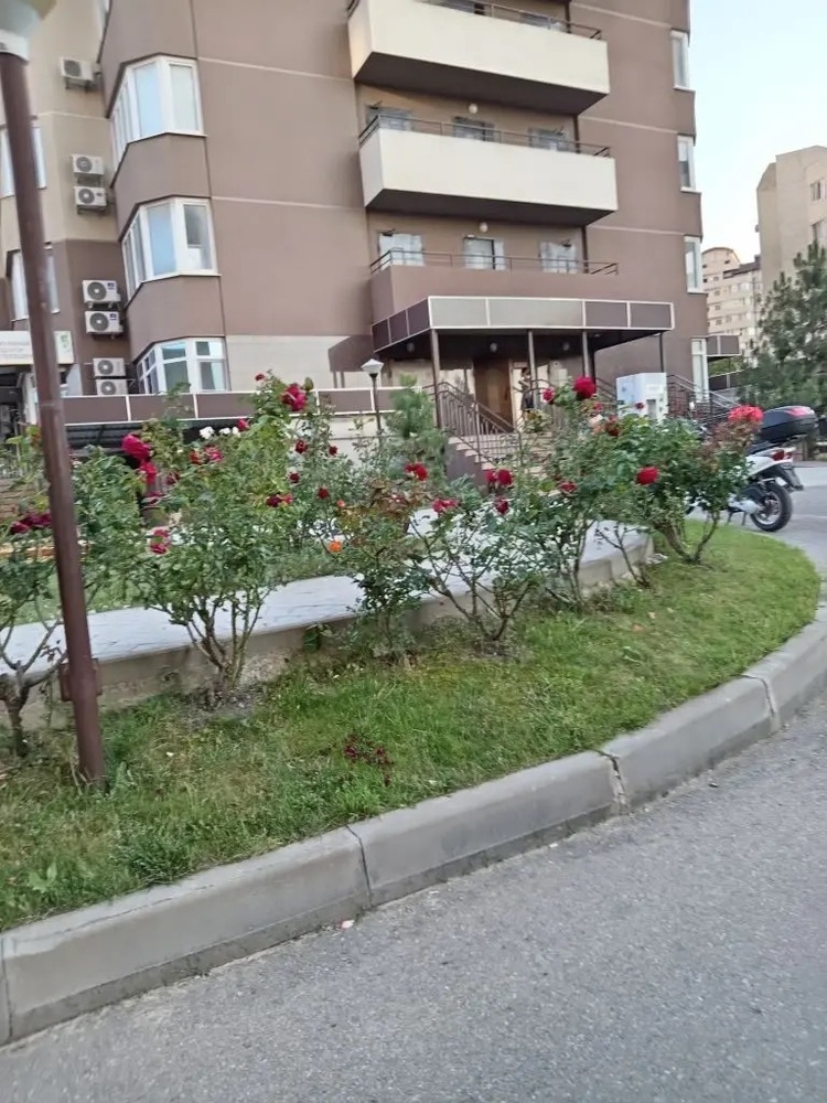 Студия 28 кв.м, 7/20