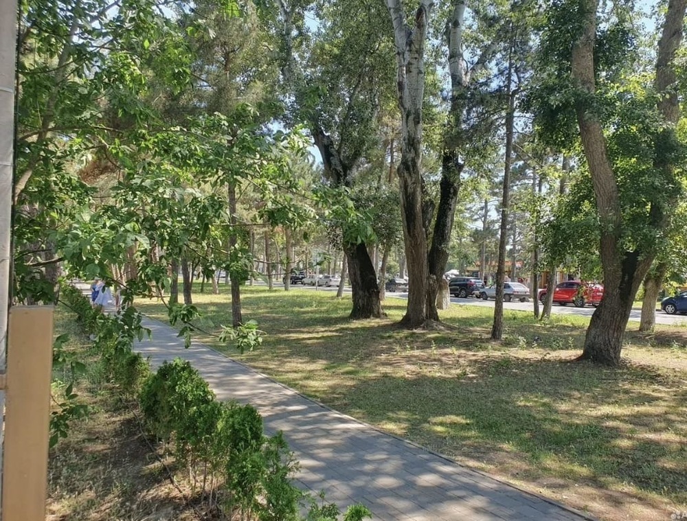 1-к. квартира 33 кв.м, 2/7