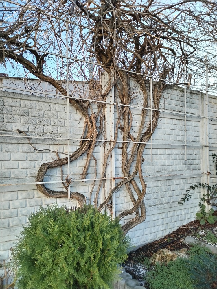 Дом 230 кв.м на участке 6 сот