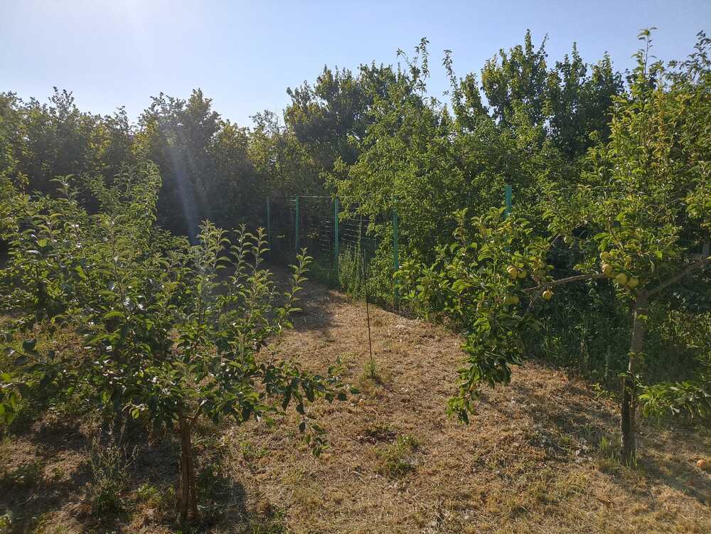 Дом 120 кв.м на участке 17 сот
