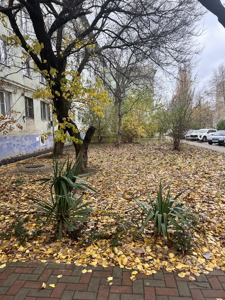 1-к. квартира 30 кв.м, 2/5