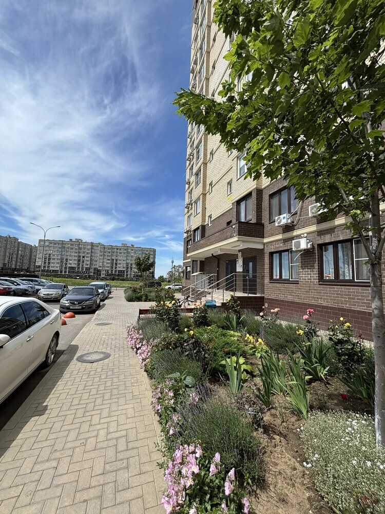 Студия 36 кв.м, 13/16