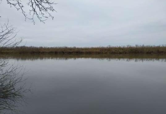 Участок 76 сот. (ЛПХ)
