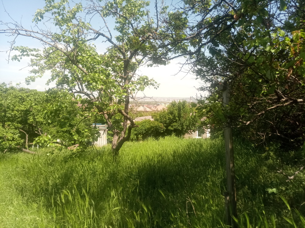 Участок 10 сот. (ЛПХ)