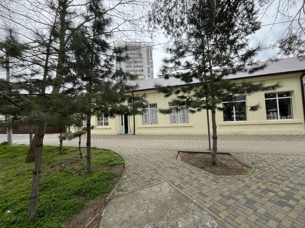 Помещение свободного назначения 202.6 кв.м