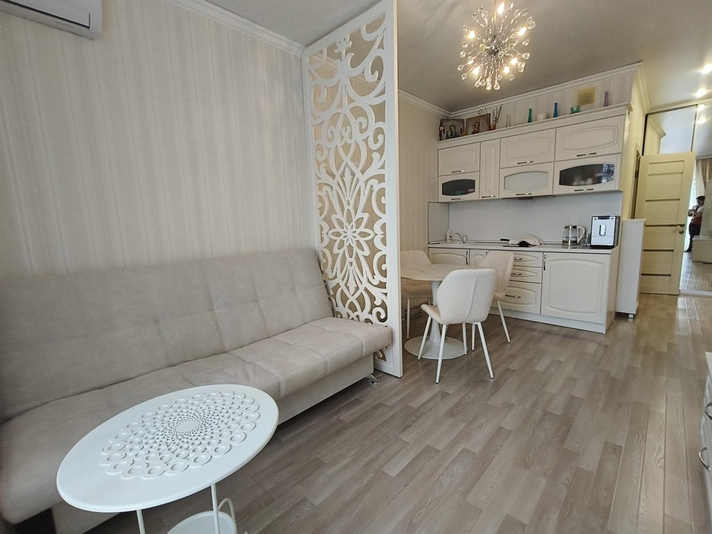 Студия 24 кв.м, 11/12