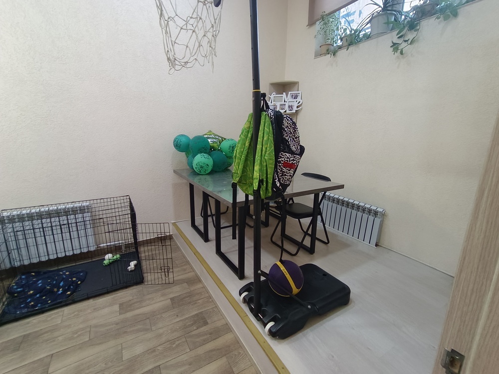 4-к. квартира 98.2 кв.м, цоколь/13
