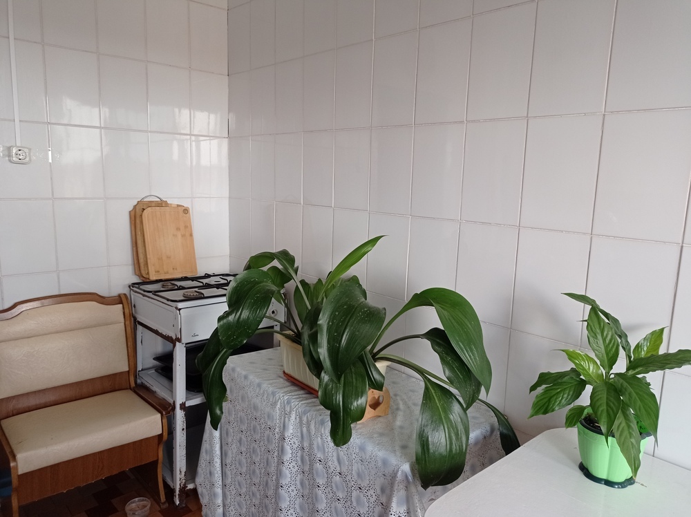Студия 19.5 кв.м, 5/5