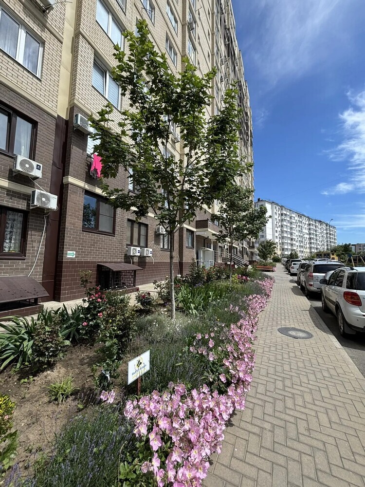 Студия 36 кв.м, 13/16